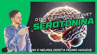 Serotonina elo entre cérebro e intestino [upl. by Phiona72]