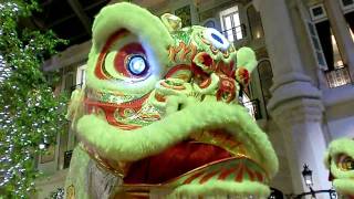 MGM Lion Guinness big lion dance [upl. by Llerihs]