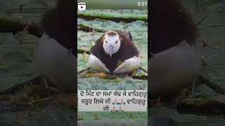 Waheguru ji ka Khalsa waheguru ji ki fathe🙏🙏🙏trendingshorts viralvideo instagoodduetoriginal [upl. by Eiramanel]