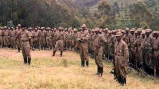 Inkotanyi Zikiri mu Ishyamba Amafoto [upl. by Zsa Zsa635]