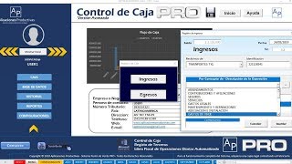 Sistema Control de Caja en Excel [upl. by Ludeman770]