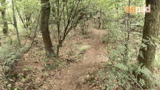 Test Focus Super Bud 29r 30 mountainbike 2014 [upl. by Anaik]