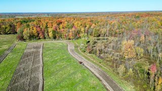 AERIAL VIEW OF THREE HORSES PLOWING A FIELD 700 [upl. by Auliffe]