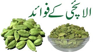 Elaichi khane ke fayde in urdu Green cardamom Health Benefits [upl. by Eleph]