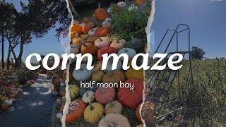 Lost in a Corn Maze 🌽🌾🌻 Half Moon Bay Vlog [upl. by Cynar]