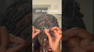 DIY mini twists with hair added [upl. by Scrivings]