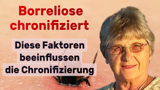 Wodurch sich Borreliose chronifiziert Dr Petra HopfSeidel [upl. by Tenay]