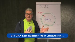 Der Inhalt der DNA  Die 9 Bedingungen der physiologischen Zellfunktionen Teil 3 [upl. by Ayvid]