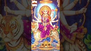 Gangaputra Narsingh Rao Songs  Padara Podamu Amma Chentaku Song  YTShorts  Durga Devi Songs [upl. by Rosen945]