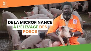 Burkina Faso  De la microfinance à l’élevage des porcs [upl. by Cornew]