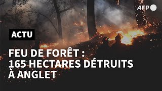 Feu de forêt maîtrisé à Anglet 165 hectares détruits des maisons endommagées  AFP [upl. by Sammer]