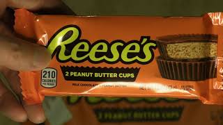 Giant 12 pound Reeses Peanut Butter Cup review [upl. by Anselm43]