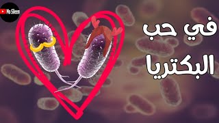 Urine culture 2 bacteria structure [upl. by Ferrel]