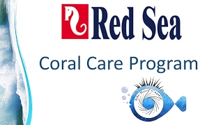 Red Sea Coral Care nouvelle version  Mr Recif Captif 133 [upl. by Rafi]