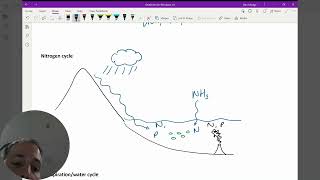 14 Biogeochemical Cycles Part 1 [upl. by Malorie]