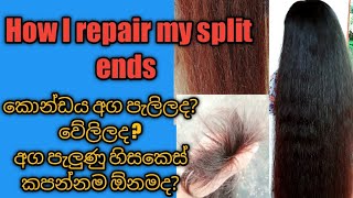 How to get rid of split ends split ends home treatment How I repair my split ends at home [upl. by Eelrac]