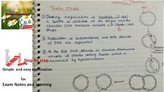 Theta model and rolling circle model of DNA replication in prokaryotes [upl. by Yreved]