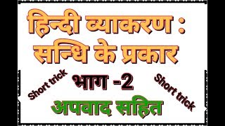 भाग2 हिन्दी व्याकरण  संधि सन्धि के प्रकार  for All Competitive Exam  Rpscfirst gradereetPSI [upl. by Naed]