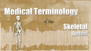 Medical Terminology of the Skeletal System [upl. by Siravart]