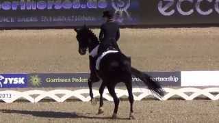 EM 2013 Kristina Sprehe GER Desperados FRH Freestyle [upl. by Heise785]