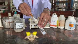 🧪 Identify the halide ions with Lead acitate test chemistry [upl. by Alena]