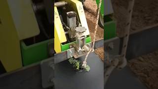 modern plant seed planter tool 🤔😱 shorts [upl. by Truman311]