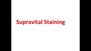 rRP SUPRAVITAL STAINING [upl. by Namhcan]