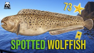 Spotted Wolffish Trophy at Norwegian Sea  Russian Fishing 4 [upl. by Damek]