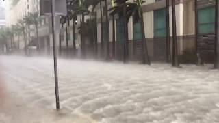 Hurricane Irma floods the streets of Downtown Miami [upl. by Zoba]