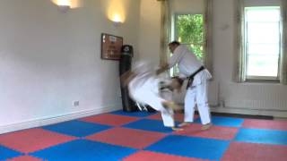 Seventy Second Seminar Heian Sandan  Pinan Sandan Opening Bunkai [upl. by Anivram]