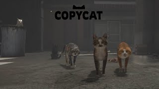 Kittypet vs rogues ou quase  Copycat 3 [upl. by Nonnag]