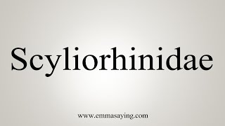 How To Say Scyliorhinidae [upl. by Hillier]