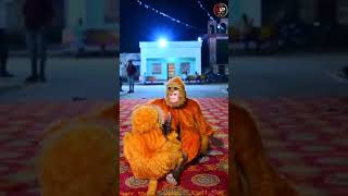 6 November 2024 ko bandar ki activityYouTube short video [upl. by Euqinna]