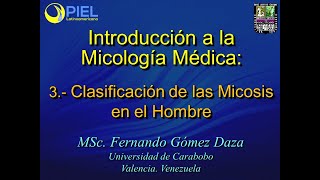 3 Clasificacion de las Micosis [upl. by Eda640]