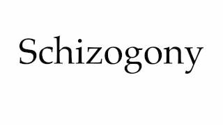 How to Pronounce Schizogony [upl. by Becca]