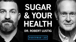 Dr Robert Lustig How Sugar amp Processed Foods Impact Your Health [upl. by Gerius154]