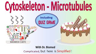 Cytoskeleton Microtubules Structure and Function [upl. by Essirahc295]