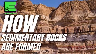 Sedimentary Rocks and Life Beyond Fossil Fuels Can We Thrive Sustainably [upl. by Fayette]