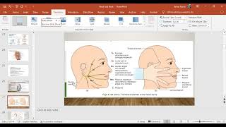 Head amp Neck Anatomy day 2 part C by Dr Farhat Amir [upl. by Akinnej]