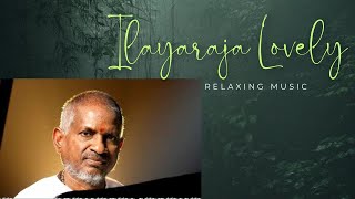 BGM Ilayaraja Chilakamma Chitikeyanga [upl. by Uehttam]