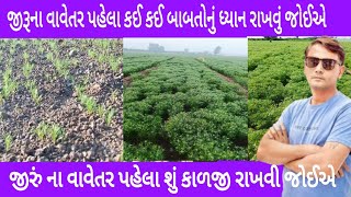 જીરું ના વાવેતર પહેલા શું કાળજી રાખવી જોઈએ જીરૂના વાવેતર પહેલા કઈ કઈ બાબતોનું ધ્યાન રાખવું જોઈએ [upl. by Lotte967]