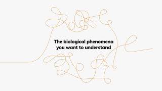 What is FIDA  Flow Induced Dispersion Analysis  insolution technology for protein interactions [upl. by Sheridan]