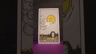 Ace of Pentacles Tarot Card Meaning tarot learning blessings begin [upl. by Eniamat]