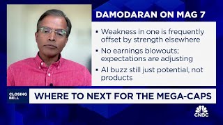 The market is in pause mode on mega caps and saying show me the money says NYUs Aswath Damodaran [upl. by Elohc]