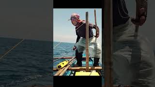 Traditional Handline Skipjack Tuna Fishing  Please Visit my Channel for More Videos [upl. by Brose]