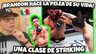 BRANDON MORENO le da UN BAILE a ALBAZI en el STRIKING💥 la pelea de SU VIDA🇲🇽 [upl. by Anoel813]