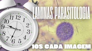 PARASITOLOGIA  10S PARA ACERTAR AS IMAGENS DAS LAMINAS [upl. by Warford]