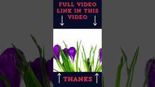 30 days🌹 Timelapse Must Watch Video Top Beautiful Flowers shorts viral trending 12 [upl. by Egoreg]