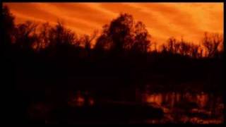 BLACK BAYOU  BAYOU NOIR [upl. by Brnaby]