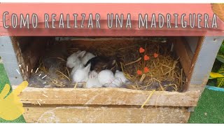 COMO HACER UNA MADRIGUERA PARA CONEJOS  BURROW RABBITS 🐇 CON RECICLAJE  📦♻️ [upl. by Licko794]